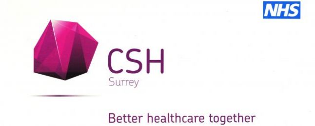 CSH Logo